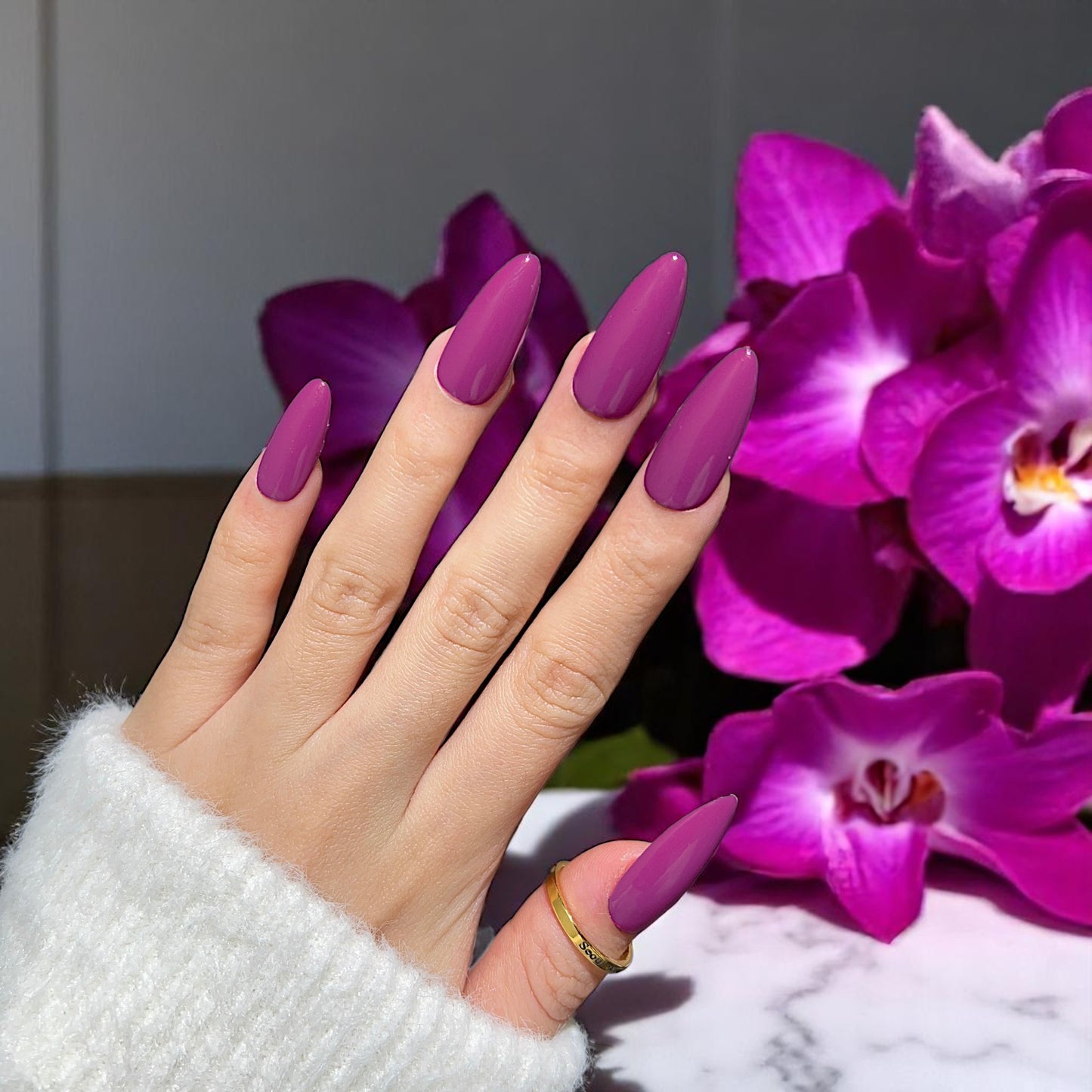 G032 - Dark Dahlia