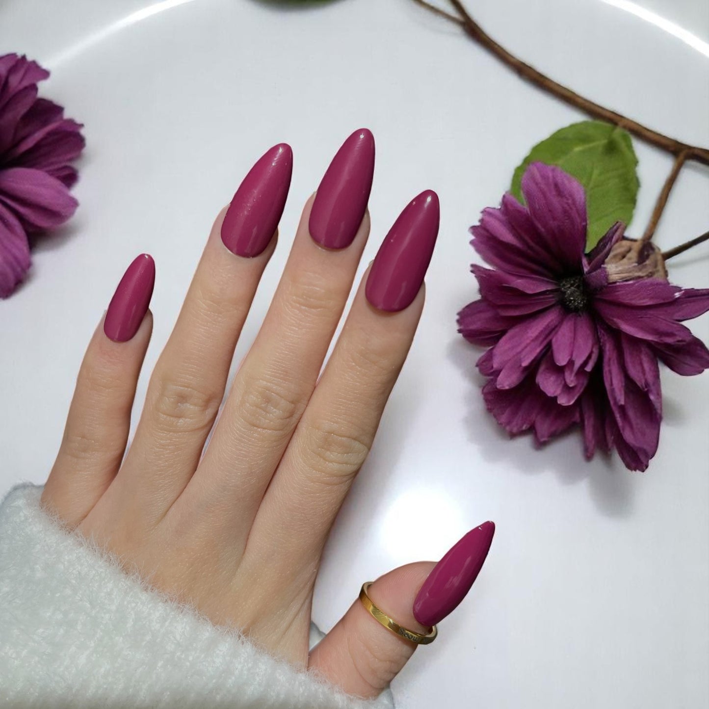 G040 - Sugar Plum