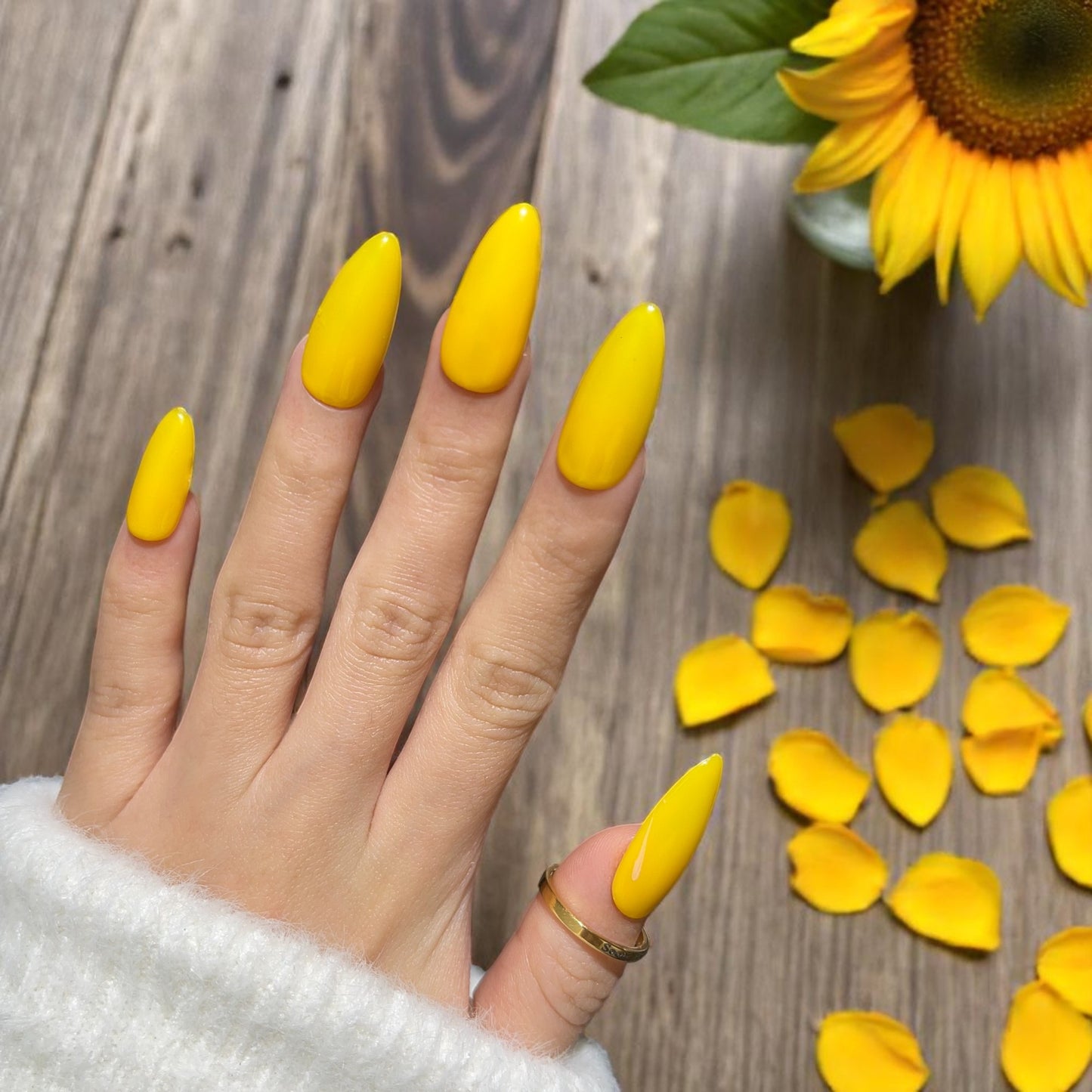 G044 - Sunflower