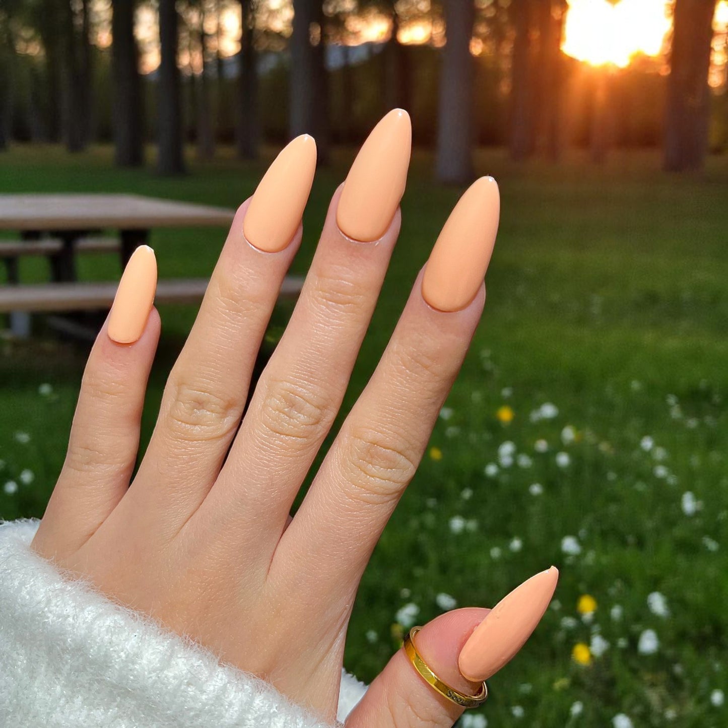G046 - Sunset
