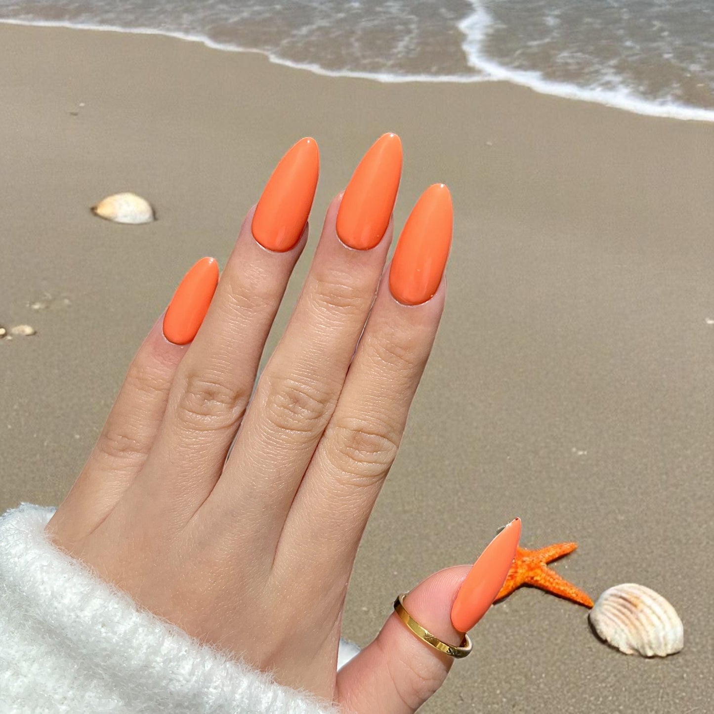 G047 - Starfish