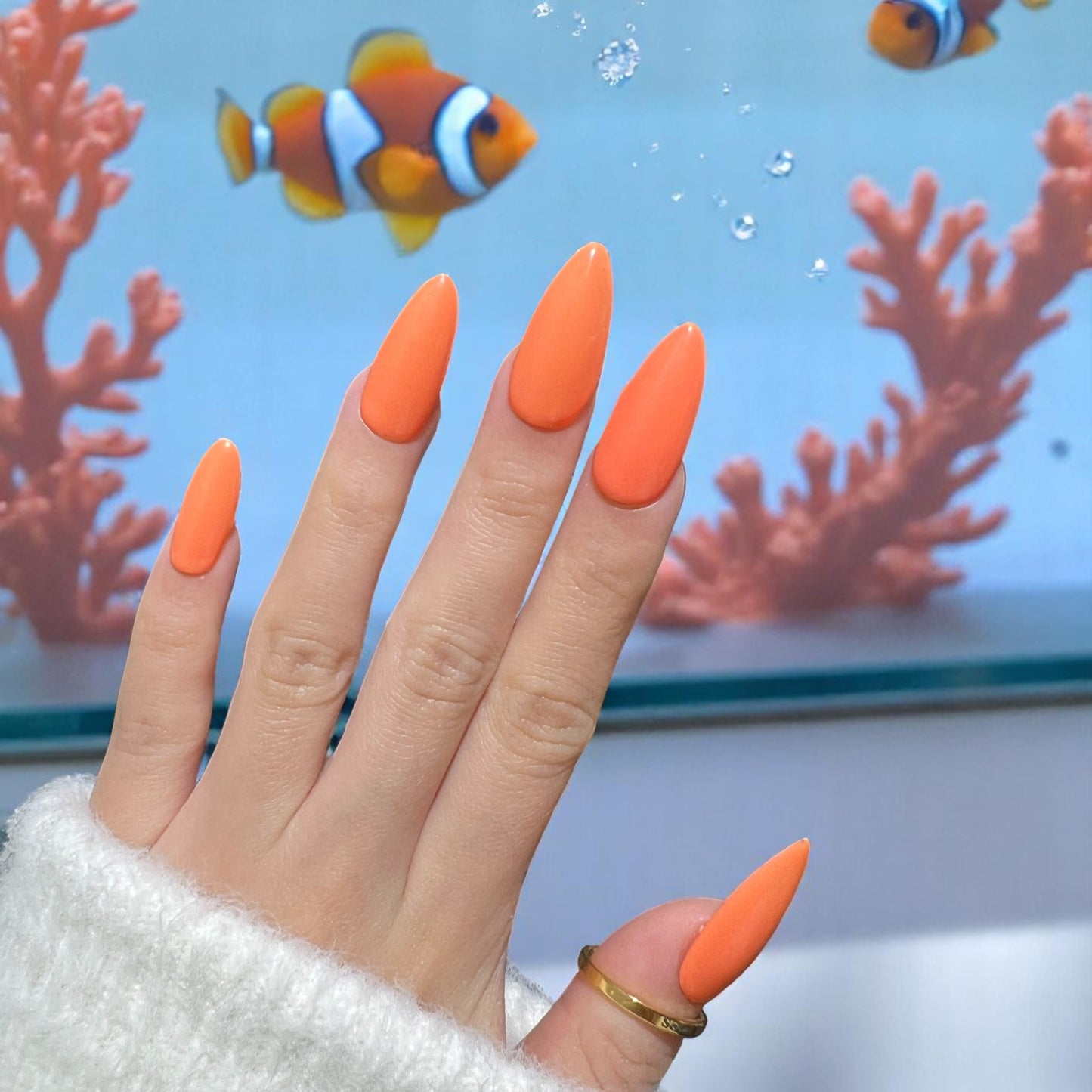 G050 - Coral Reef