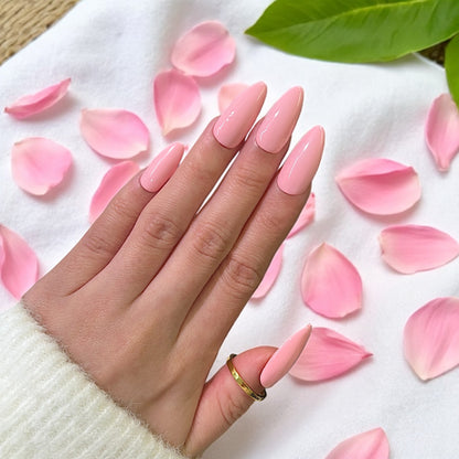 G024 - Petal Dust