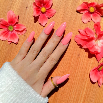 G026 - Just Peachy