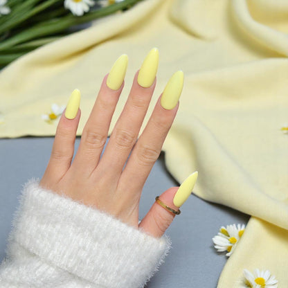 G042 - Buttercup