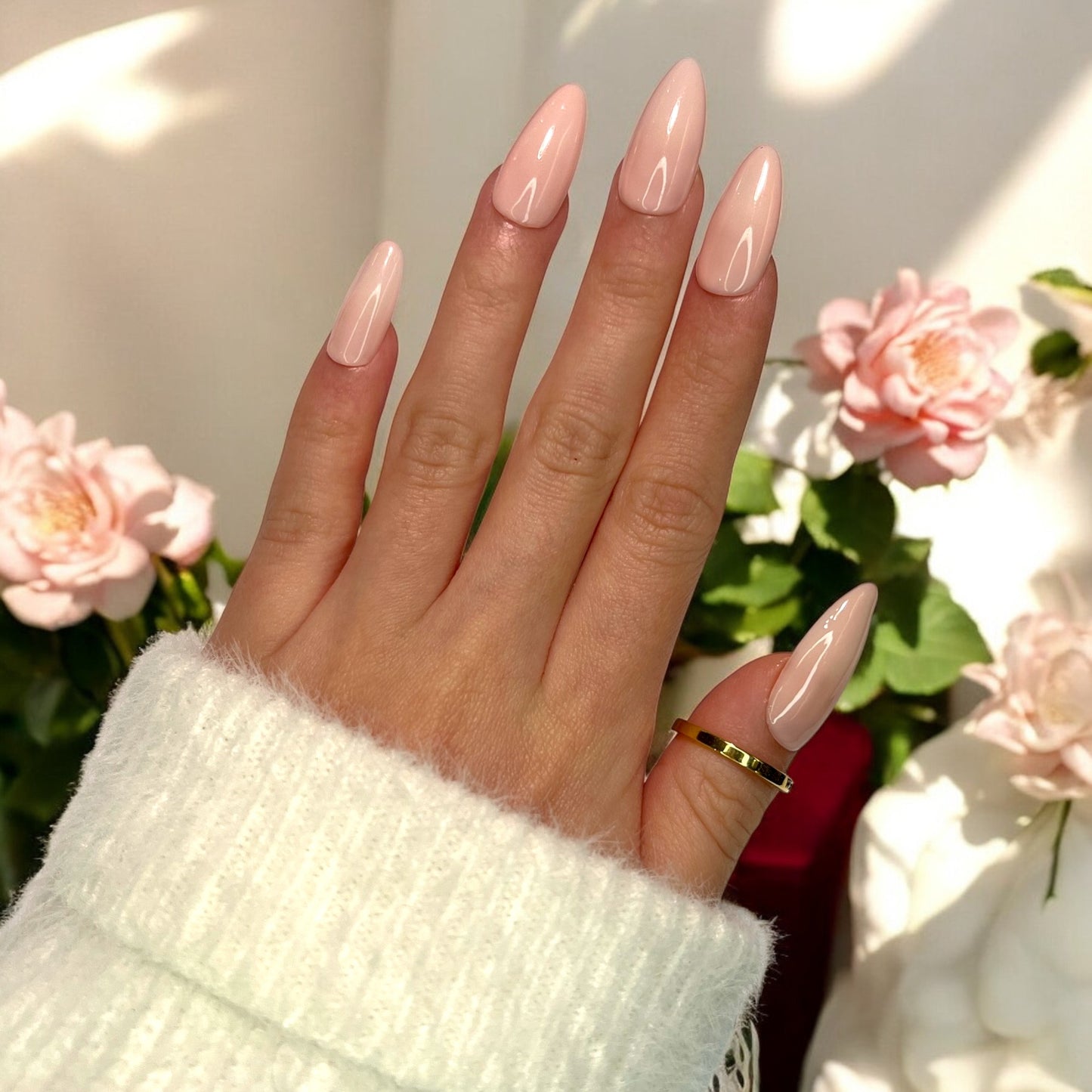 M005 - Sakura