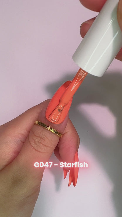 G047 - Starfish